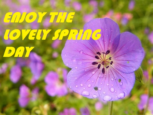 Enjoy The Lovely Spring Day