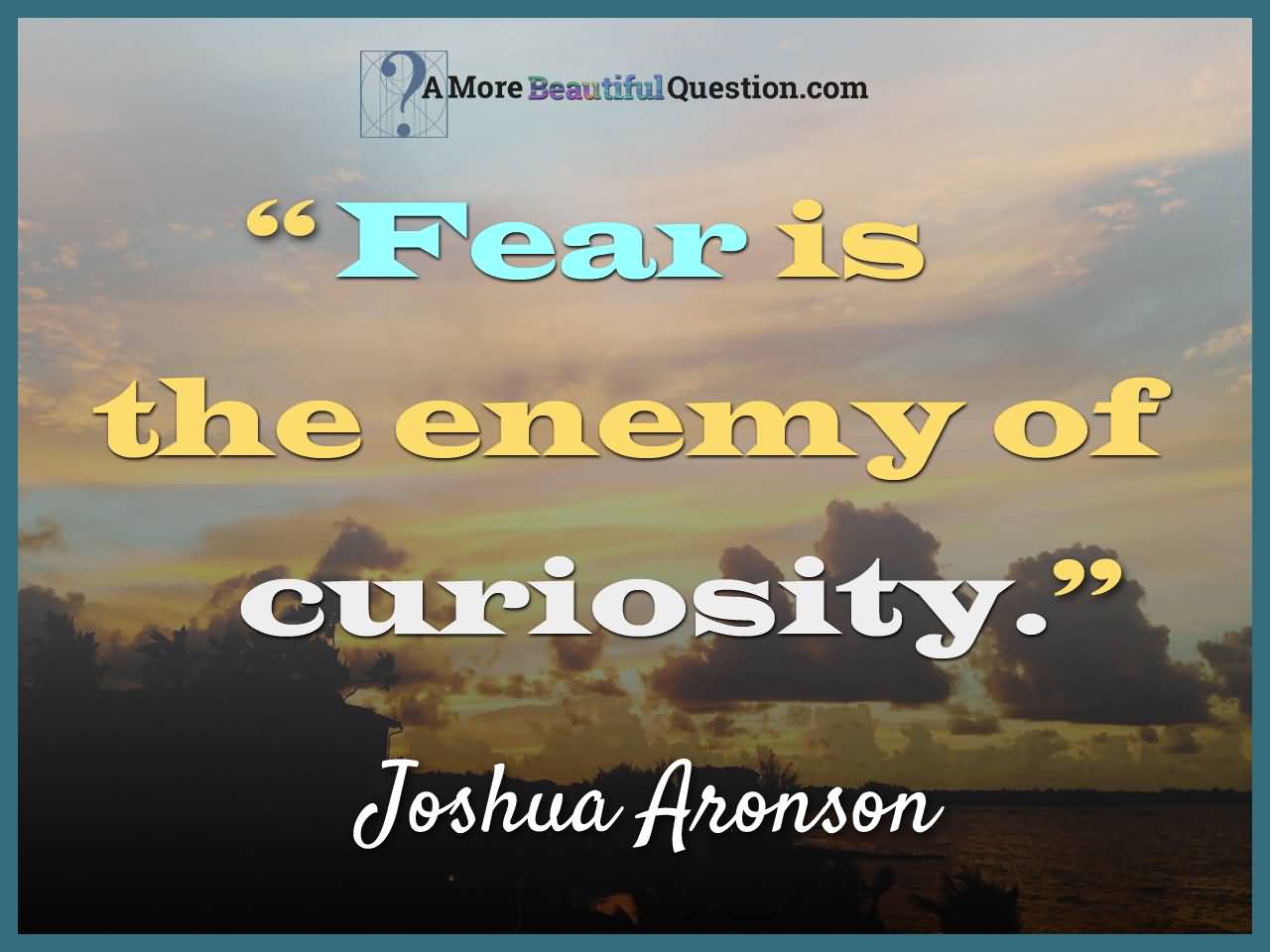 Fear is the enemy of curiosity - Joshua Aronson