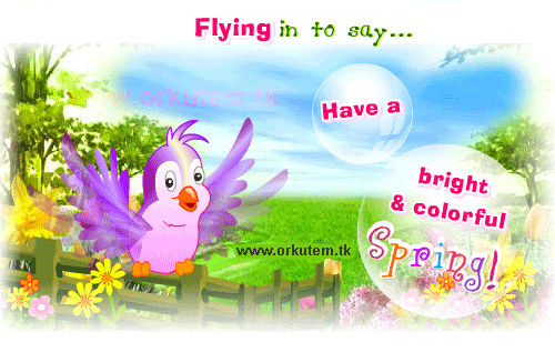 Flying In To Say Have A Bright & Colorful Spring