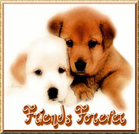 Friends Forever Cute Puppies Picture
