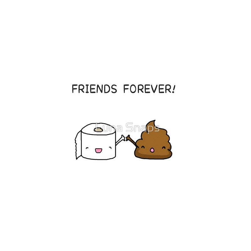 Friends Forever Poop And Toilet Paper Roll Picture