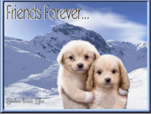 Friends Forever Puppies Animated Picture