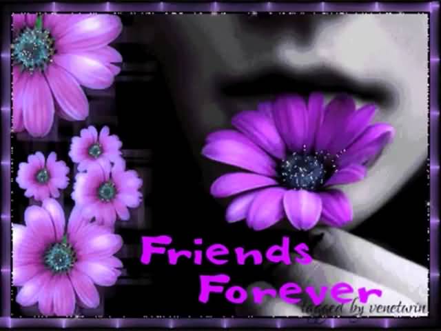 Friends Forever Purple Flowers Picture
