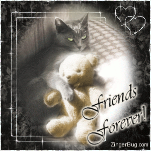 Friends Forever Teddy Bear With Cat Glitter