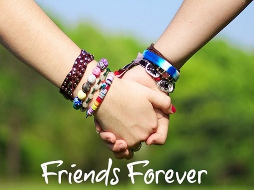 Friends Forever Two Hands Picture