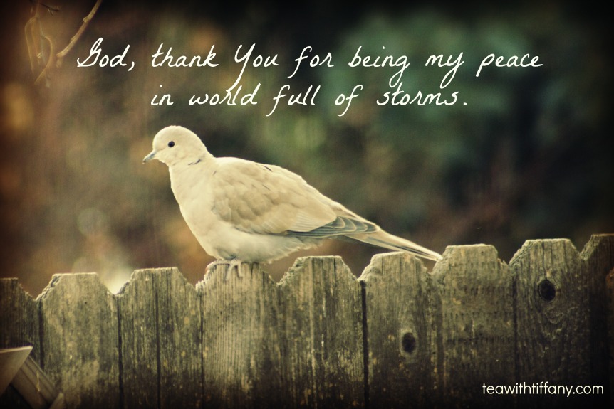 God Thank You For Being My Peace In World Full Of Storms.