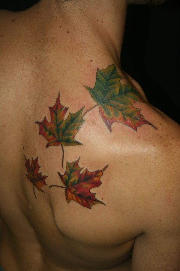 Green And Red Autumn Fall Leaves Tattoo On Back Shoulder