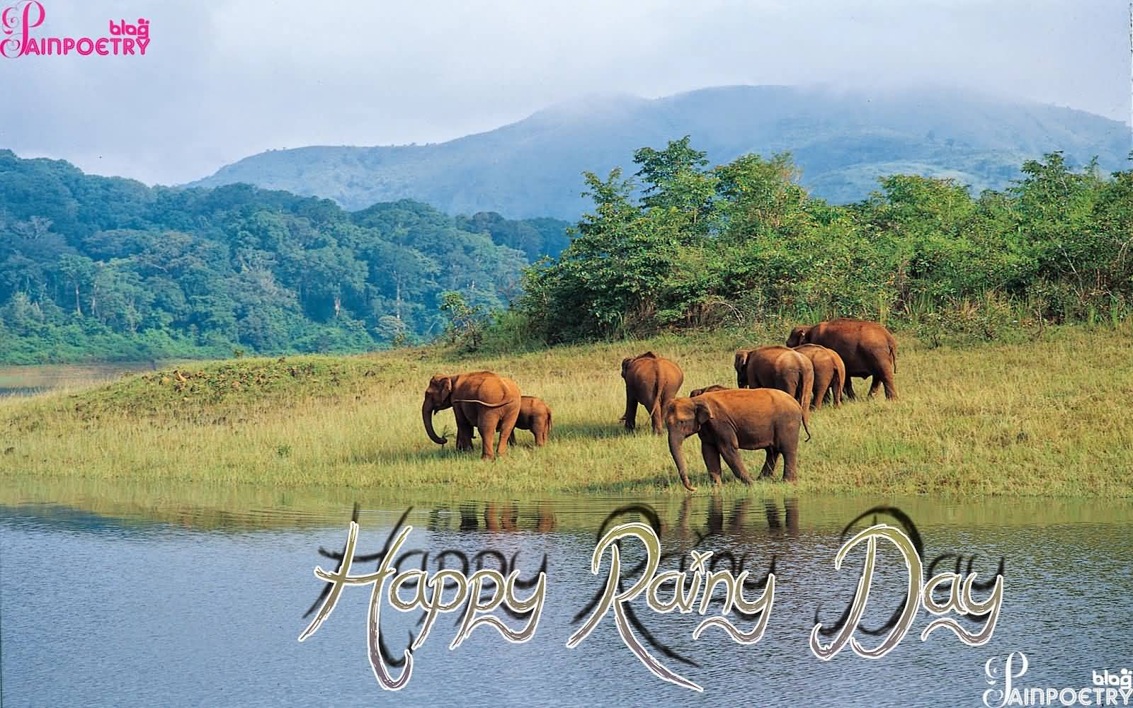 Happy Rainy Day Elephants Picture