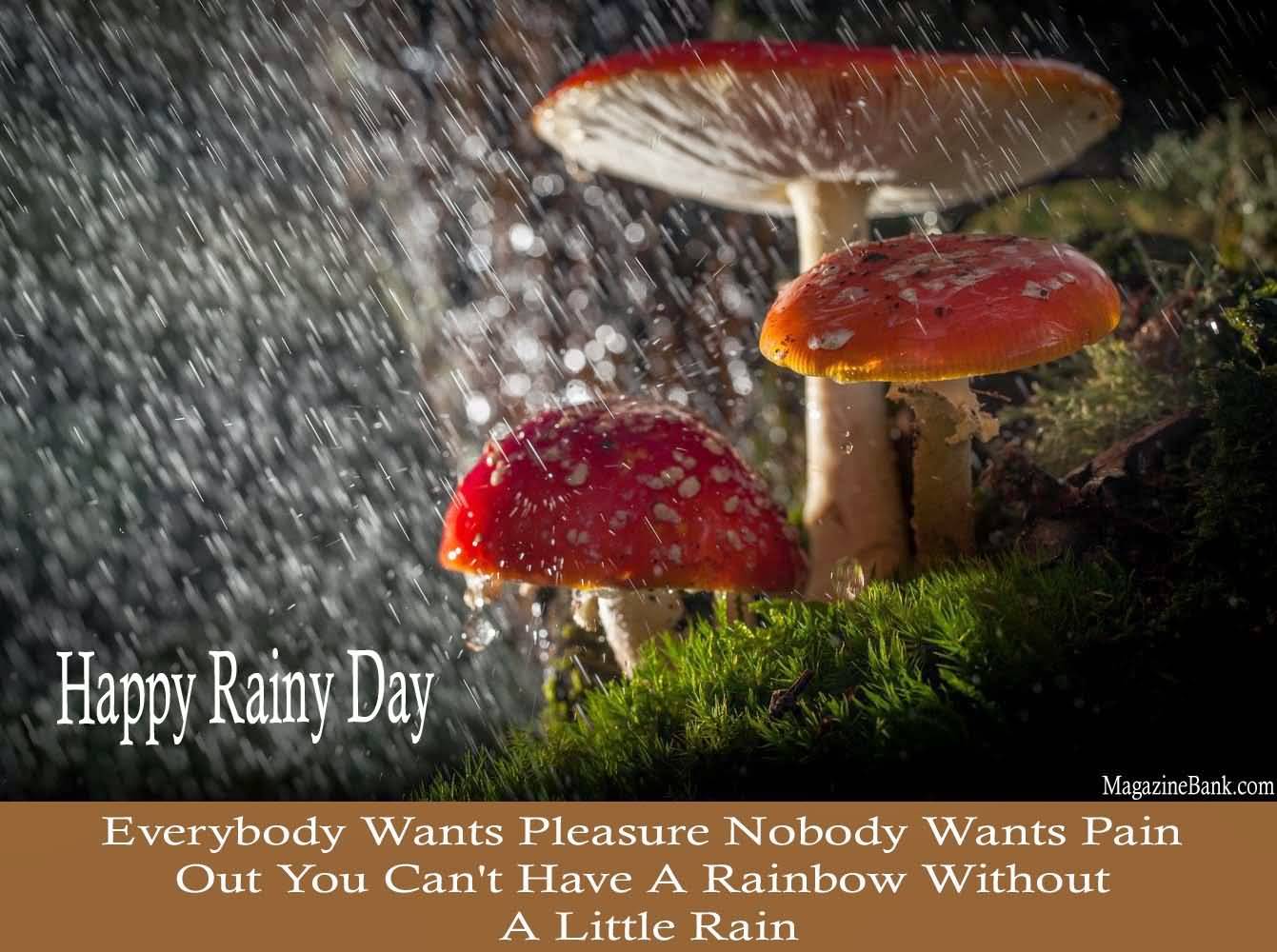 Happy Rainy Day Everybody Wants Pleasure Nobody Wants Pain Out You Can't Have A Rainbow Without A Little Rain.