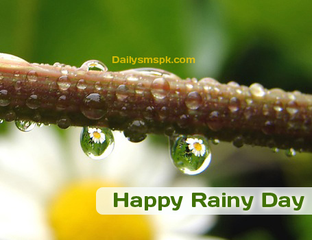 Happy Rainy Day Water Droplets Picture