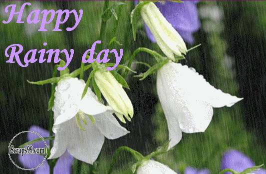Happy Rainy Day White Flowers Raining Animated Picture