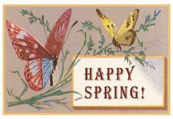 Happy Spring Butterflies Greeting Card