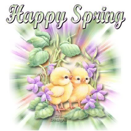 Happy Spring Cute Chickens Picture