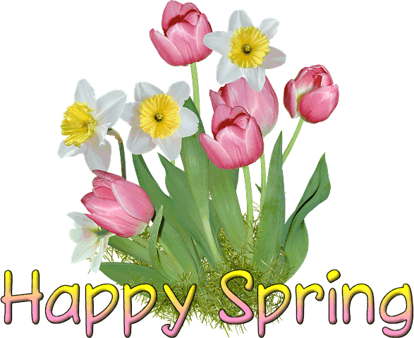 Happy Spring Flowers Picture