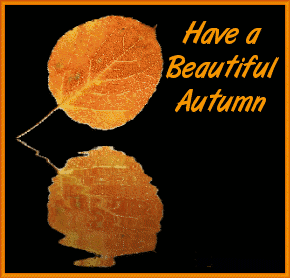 Have A Beautiful Autumn Water Reflection Of Leaf Animated Picture