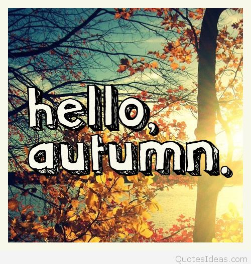 Hello Autumn Greeting Card