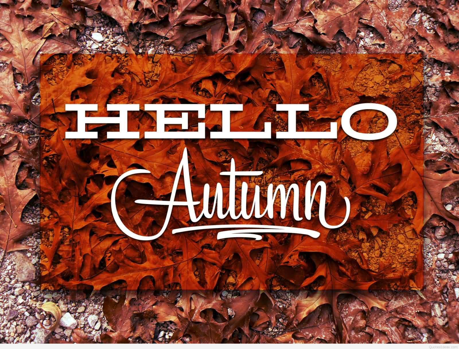 Hello Autumn Wishes Picture