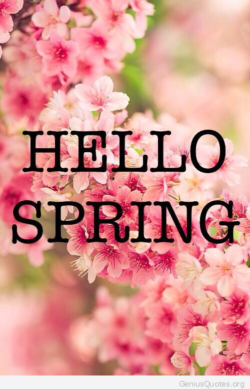 Hello Spring Wishes Picture
