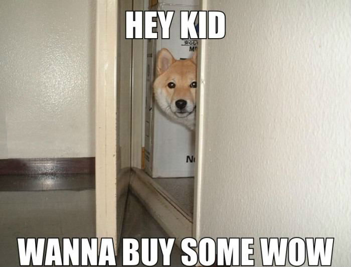 Hey Kid Wanna Buy Some Wow Dog Meme Picture
