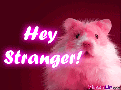 Hey Stranger Mouse Smelling Animated Picture