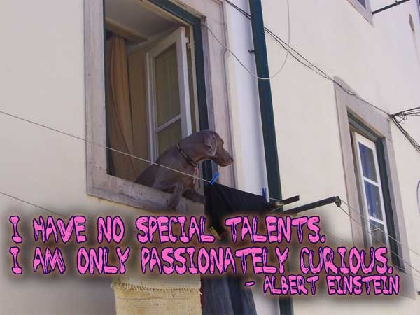 I have no special talents. I am only passionately curious