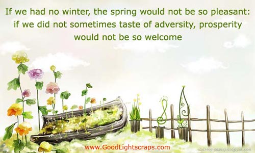 If We Had No Winter, The Spring Would Not Be So Pleasant If We Did Not Sometimes Taste Of Adversity, Prosperity Would Not Be So Welcome