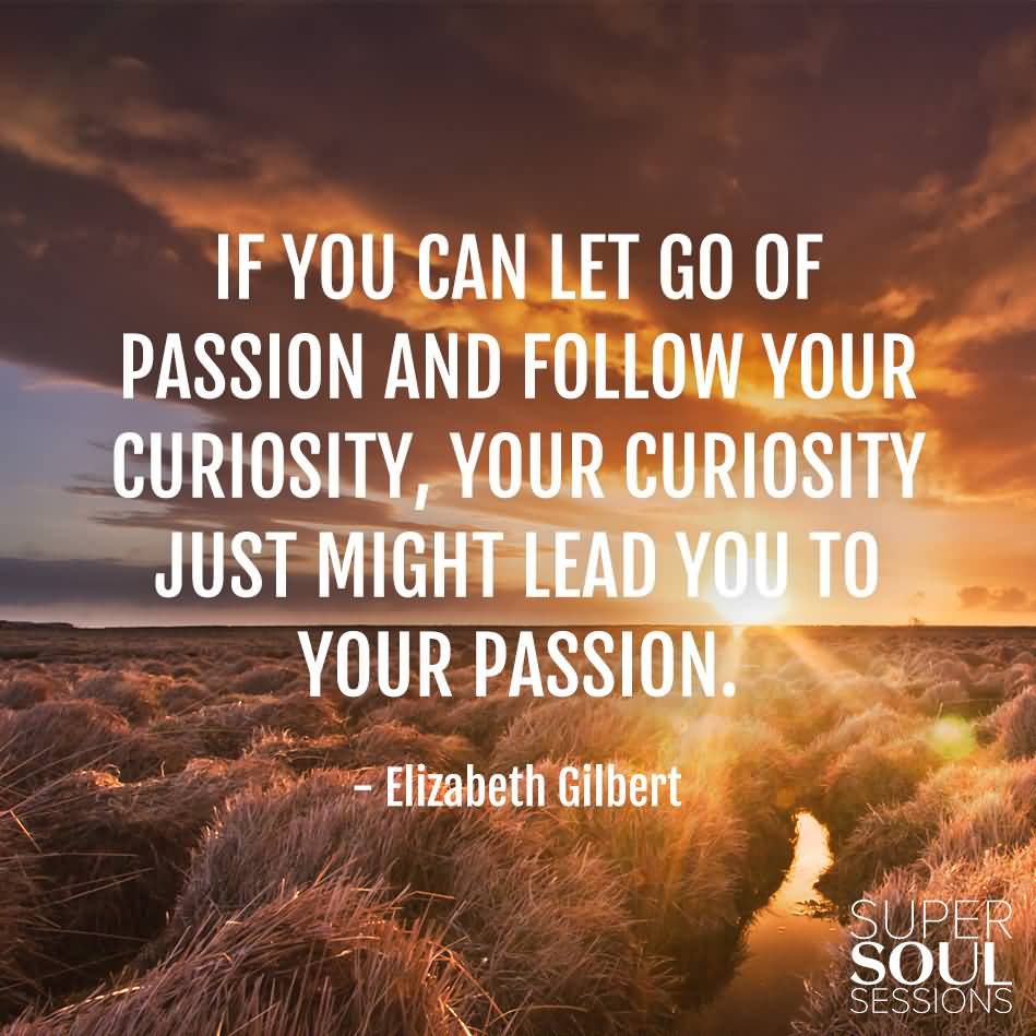 If you can let go of passion and follow your curiosity, your curiosity just might lead you to your passion -  Elizabeth Gilbert