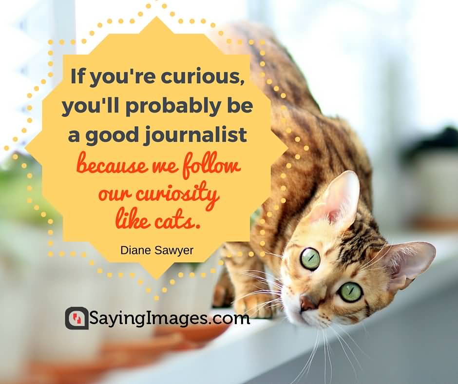 If you're curious, you'll probably be a good journalist because we follow our curiosity like cats  - Diane Sawyer..
