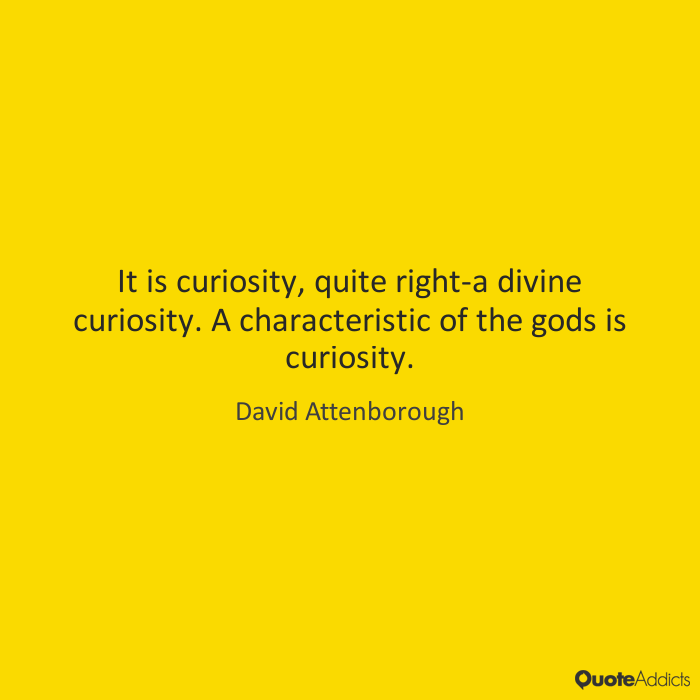 It is curiosity, quite right-a divine curiosity. A characteristic of the gods is curiosity  - David Attenborough