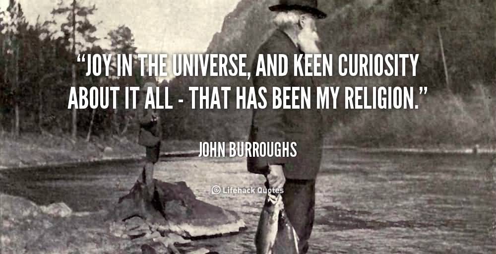 Joy in the universe, and keen curiosity about it all – that has been my religion.