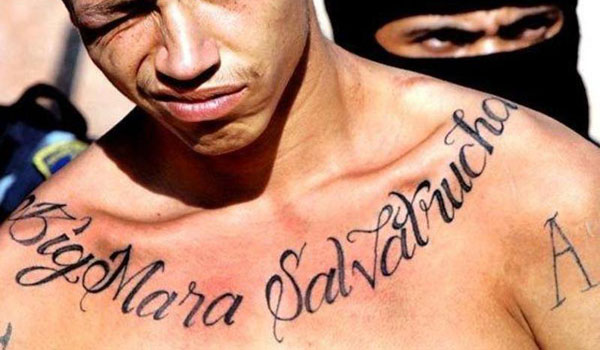Lettering Clavicle Tattoo For Men
