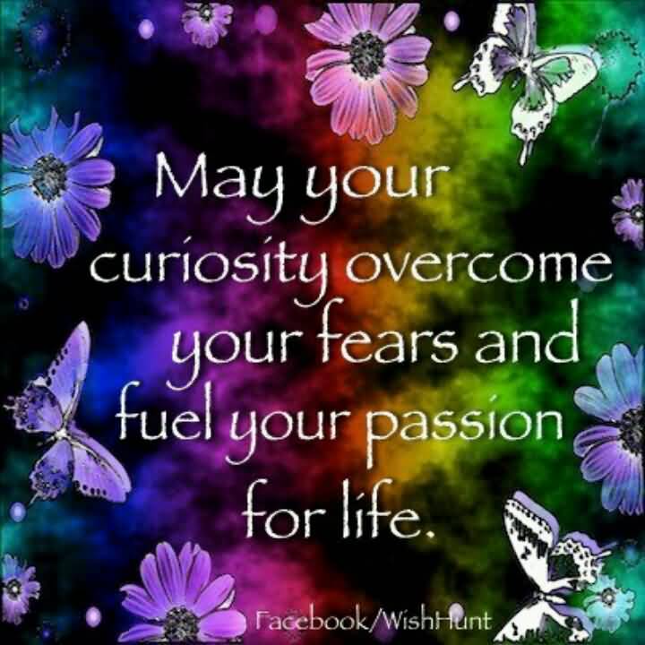May Your Curiosity Overcome Your Fears and Fuel Your Passion For Life.