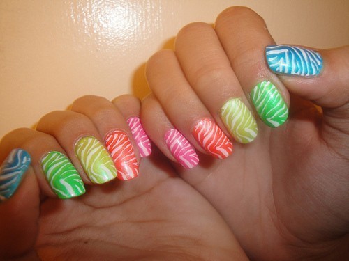 Multicolor Nails With Zebra Print Nail Art