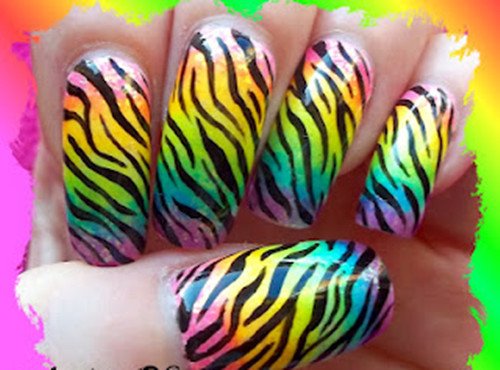 Multicolor Zebra Print Nail Art Design Idea
