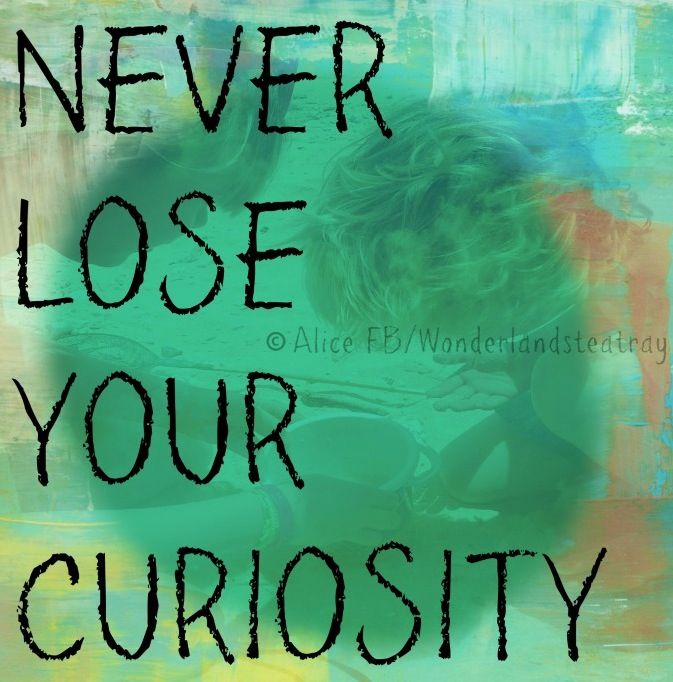 Never Lose a Holy Curiosity