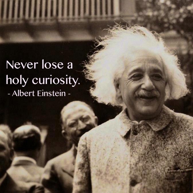 Never lose a holy curiosity - Albert Einstein US