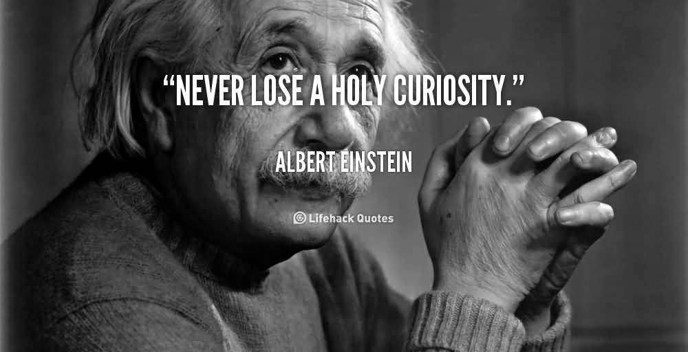 Never lose a holy curiosity.