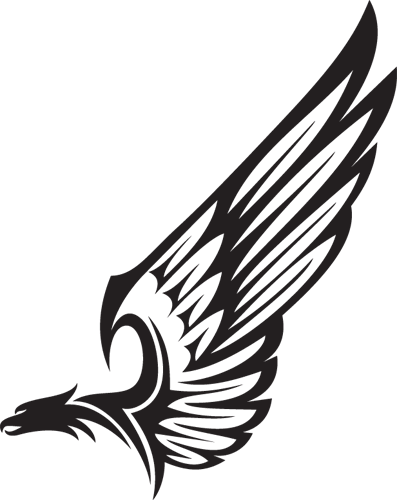 Nice Tribal Bird Head With Wings Tattoo Design