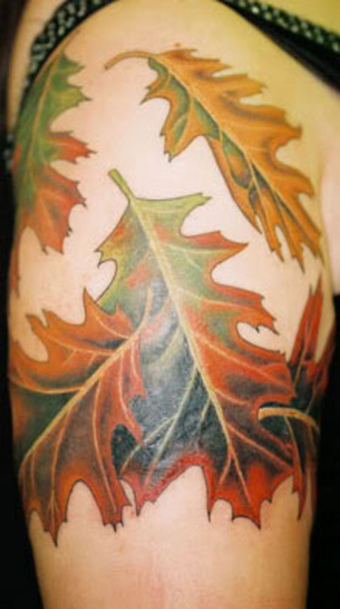 Oak Leaf Fall Tattoo On Shoulder