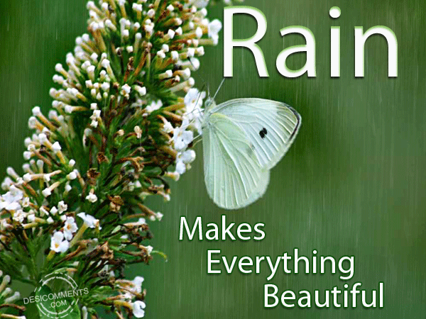 Rain Makes Everything Beautiful Happy Rainy Day Animated Picture