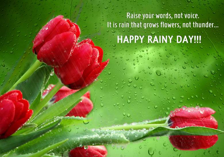 Raise Your Words, Not Voice It Is Rain Grows Flowers, Not Thunder Happy Rainy Day Rose Flowers Picture