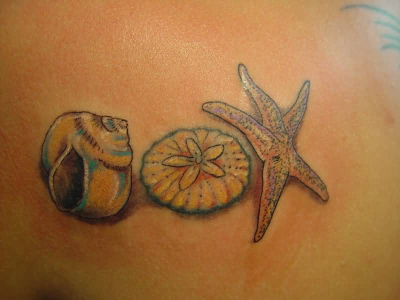 Realistic Color Starfish With Sand Dollar And Seashell Tattoo