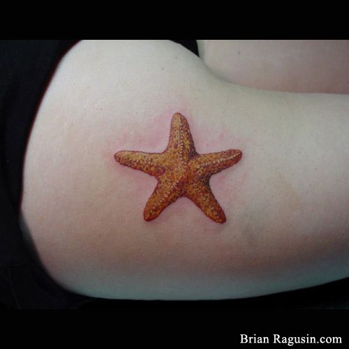 Realistic Orange Starfish Tattoo By Brian Ragusin