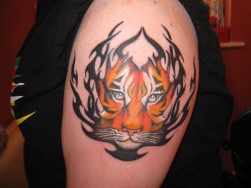 Realistic Tiger Face With Tribal Design Tattoo On Left Shoulder