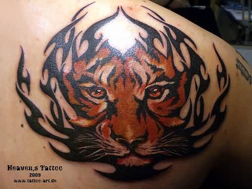 Realistic Tiger Face With Tribal Designs Tattoo On Back Right Shoulder