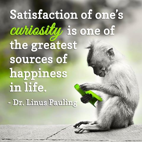 Satisfaction of one's curiosity is one of the greatest sources of happiness in life -  Dr. Linus Pauling