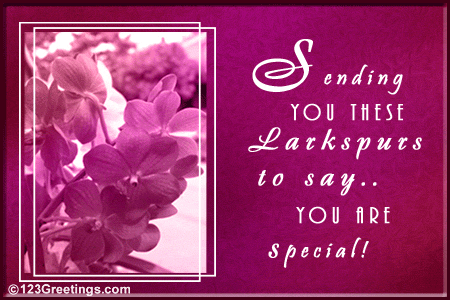 Sending You These Larkspurs To Say You Are Special Greeting Ecard