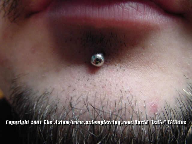 Silver Stud Chin Piercing Picture
