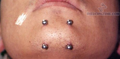 Silver Studs Chin Piercing Picture