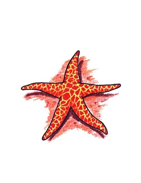 Simple Red Color Starfish Tattoo Design